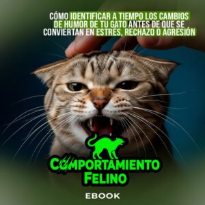 COMPORTAMIENTO  FELINO