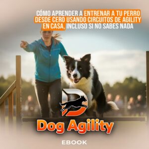 DOG AGILITY
