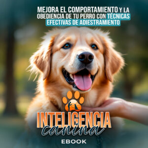 INTELIGENCIA CANINA