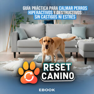 RESET CANINO